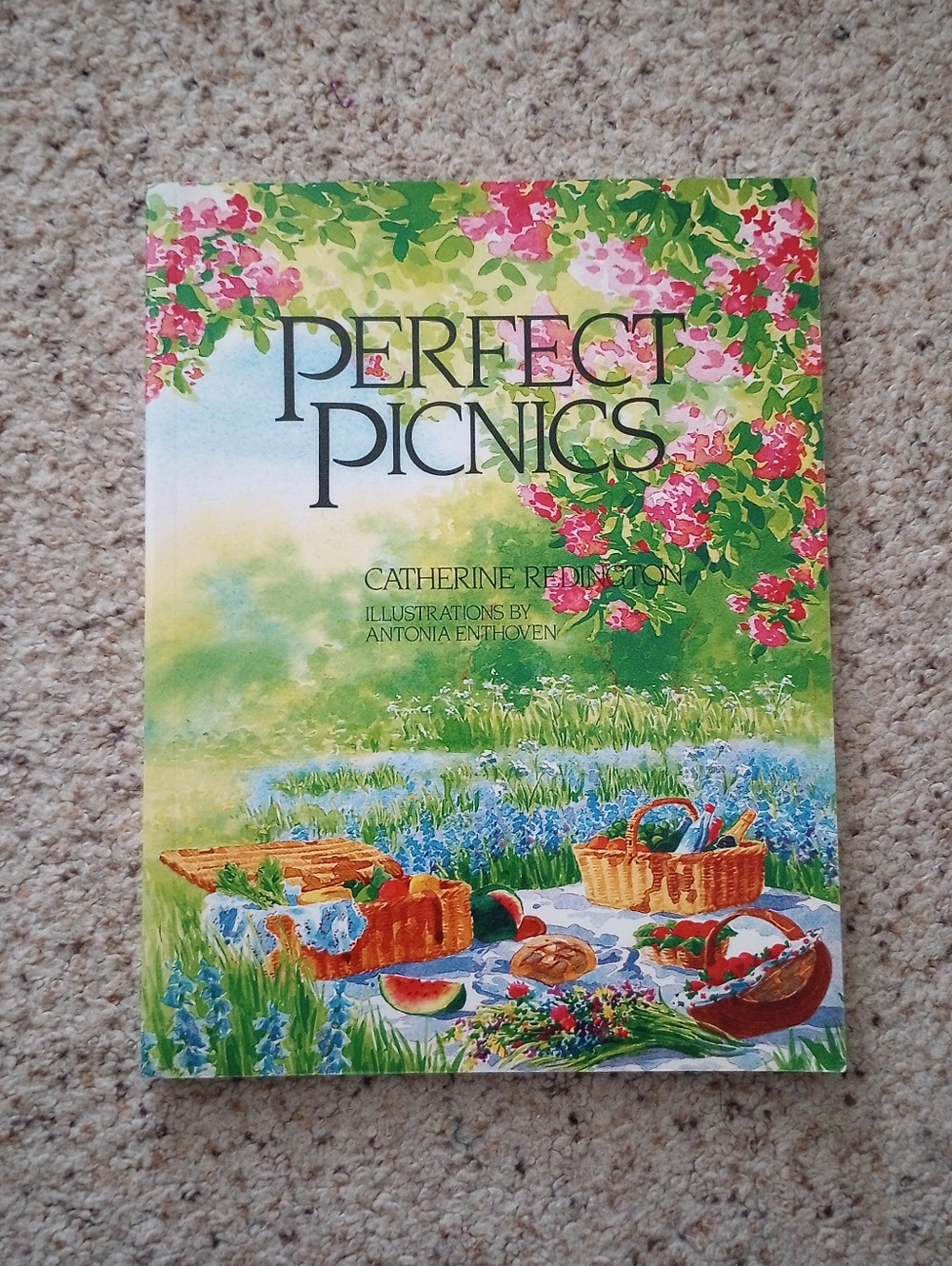 Perfect Picnics Book Cottagecore Vintage Food Recipes Cookbook